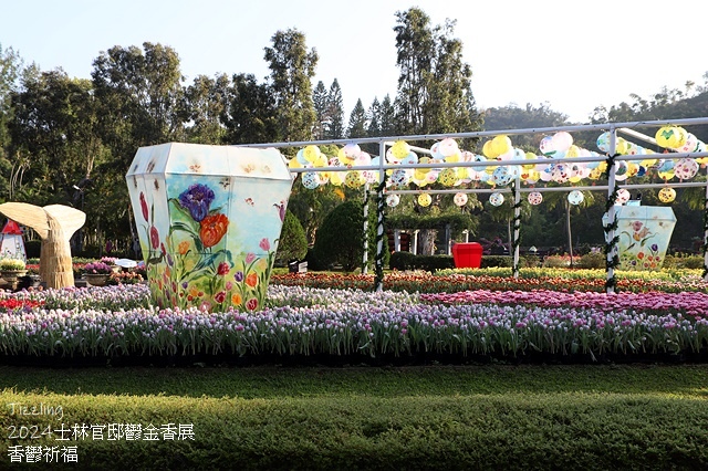 2024士林官邸鬱金香展🌹｜香鬱祈福，展出日期：2024/0