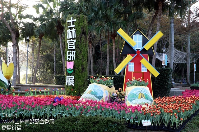2024士林官邸鬱金香展🌹｜香鬱祈福，展出日期：2024/0