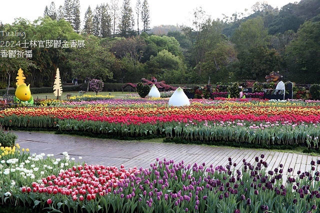 2024士林官邸鬱金香展🌹｜香鬱祈福，展出日期：2024/0