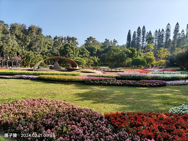2024士林官邸鬱金香展🌹｜香鬱祈福，展出日期：2024/0