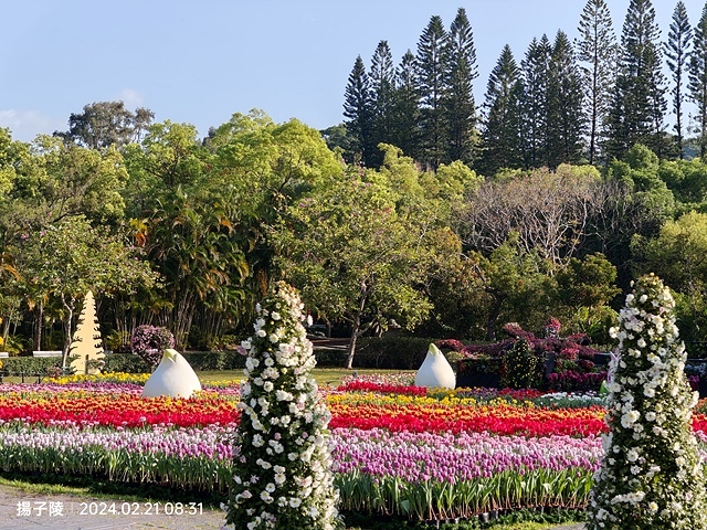 2024士林官邸鬱金香展🌹｜香鬱祈福，展出日期：2024/0