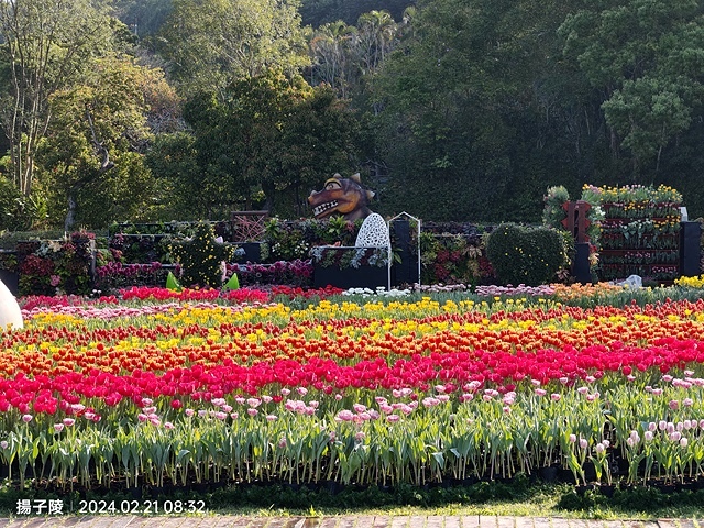 2024士林官邸鬱金香展🌹｜香鬱祈福，展出日期：2024/0