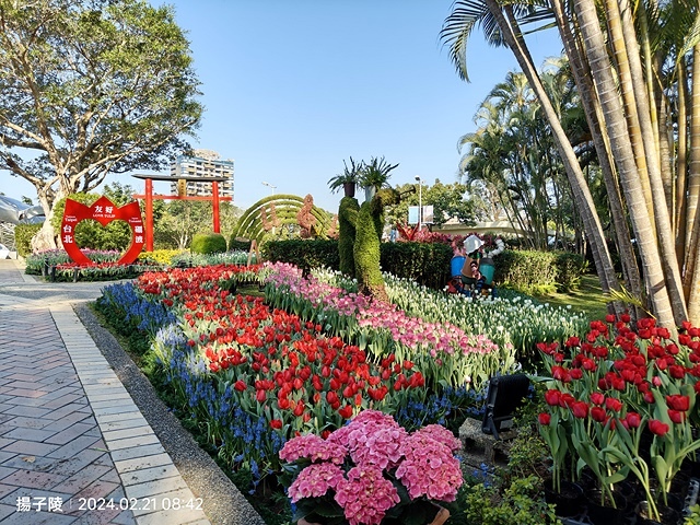 2024士林官邸鬱金香展🌹｜香鬱祈福，展出日期：2024/0