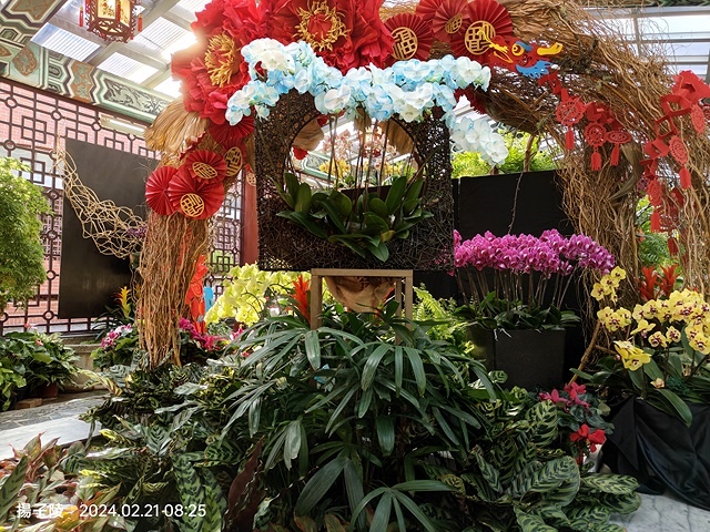 2024士林官邸鬱金香展🌹｜香鬱祈福，展出日期：2024/0