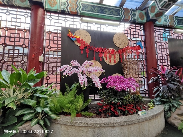 2024士林官邸鬱金香展🌹｜香鬱祈福，展出日期：2024/0