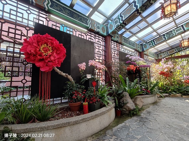 2024士林官邸鬱金香展🌹｜香鬱祈福，展出日期：2024/0