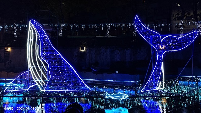 2024新莊中港大排光雕，展出日期：2024/03/01~0