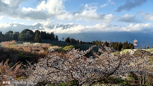 2024宜蘭清水地熱公園，來溫泉煮蛋泡腳趣♨️｜梨山賓館，臺