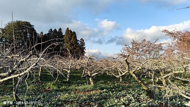 2024宜蘭清水地熱公園，來溫泉煮蛋泡腳趣♨️｜梨山賓館，臺