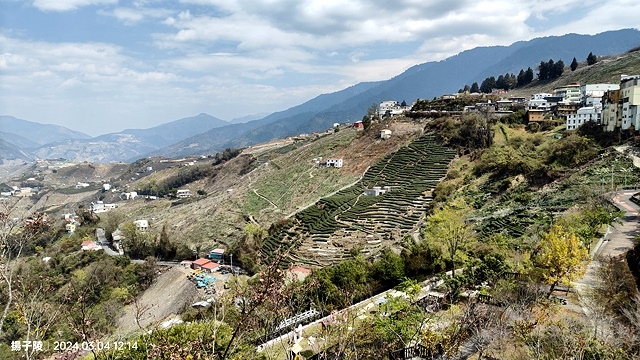 2024福壽山農場｜千櫻園，觀落櫻，遠的要命的福壽山農場｜梨