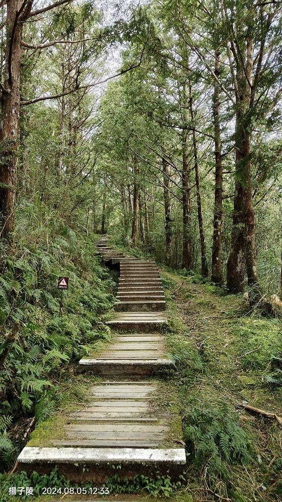 2024太平山國家森林遊樂區｜翠峰湖，臺灣最大高山湖泊｜👣翠