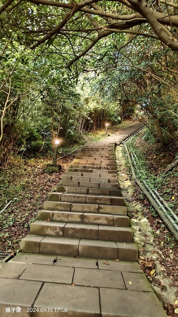 2024觀音山硬漢嶺👣｜楓櫃斗湖步道｜同場加映：2024五股