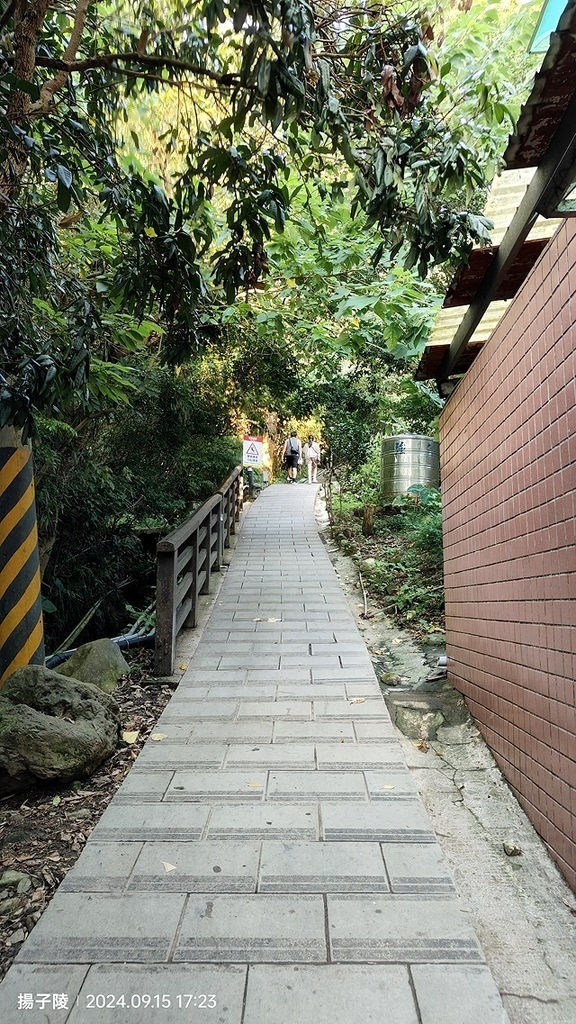 2024觀音山硬漢嶺👣｜楓櫃斗湖步道｜同場加映：2024五股