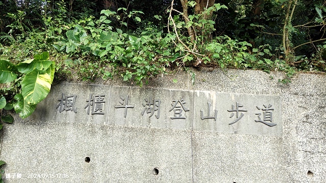 2024觀音山硬漢嶺👣｜楓櫃斗湖步道｜同場加映：2024五股