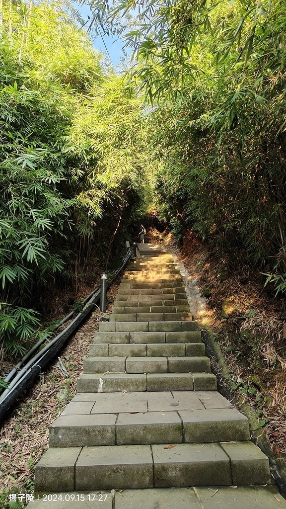 2024觀音山硬漢嶺👣｜楓櫃斗湖步道｜同場加映：2024五股