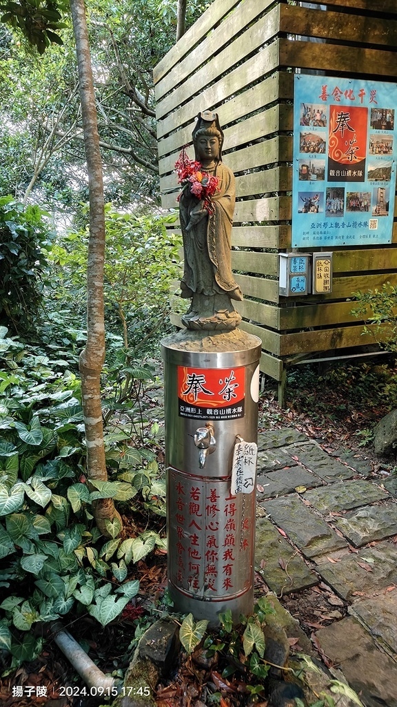 2024觀音山硬漢嶺👣｜楓櫃斗湖步道｜同場加映：2024五股