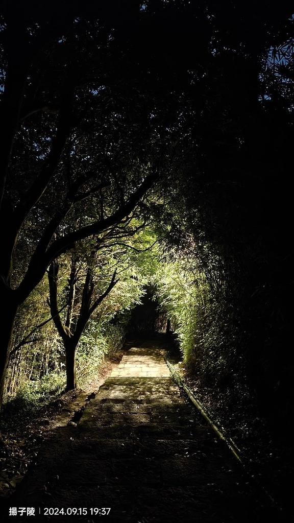 2024觀音山硬漢嶺👣｜楓櫃斗湖步道｜同場加映：2024五股