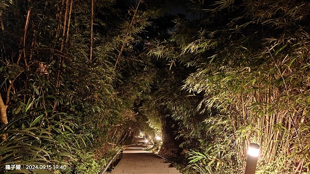 2024觀音山硬漢嶺👣｜楓櫃斗湖步道｜同場加映：2024五股