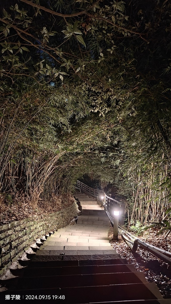 2024觀音山硬漢嶺👣｜楓櫃斗湖步道｜同場加映：2024五股