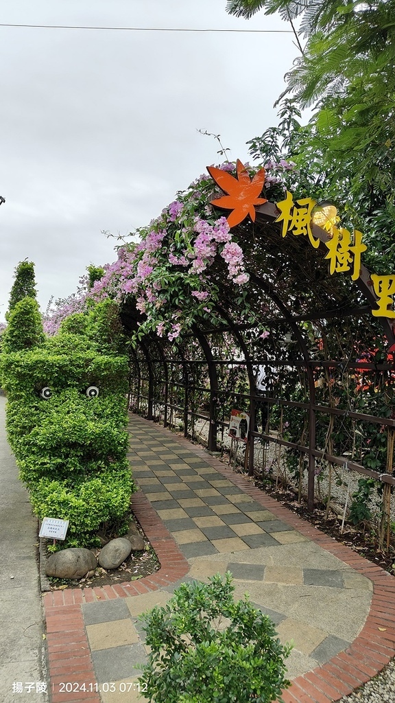 2024新北泰山蒜香藤花季🌸楓樹河濱公園活動日期:202 2024新北泰山蒜香藤花季🌸楓樹河濱公園活動日期:202