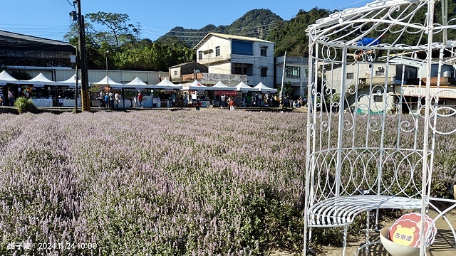 2024苗栗獅潭仙草花節🌸,活動日期:11月23日、11月2 2024苗栗獅潭仙草花節🌸,活動日期:11月23日、11月2