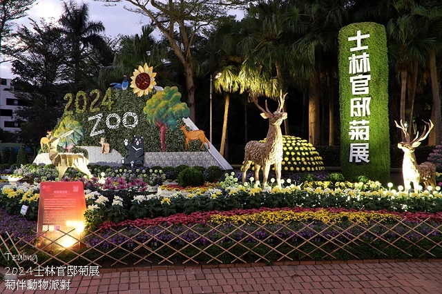 2024士林官邸菊展、菊伴動物派對,首次開放夜間賞花到晚上9 2024士林官邸菊展、菊伴動物派對,首次開放夜間賞花到晚上9