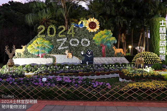 2024士林官邸菊展、菊伴動物派對,首次開放夜間賞花到晚上9 2024士林官邸菊展、菊伴動物派對,首次開放夜間賞花到晚上9