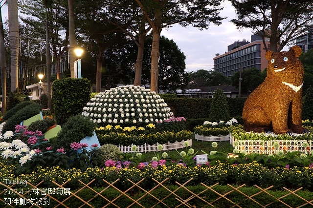 2024士林官邸菊展、菊伴動物派對,首次開放夜間賞花到晚上9 2024士林官邸菊展、菊伴動物派對,首次開放夜間賞花到晚上9