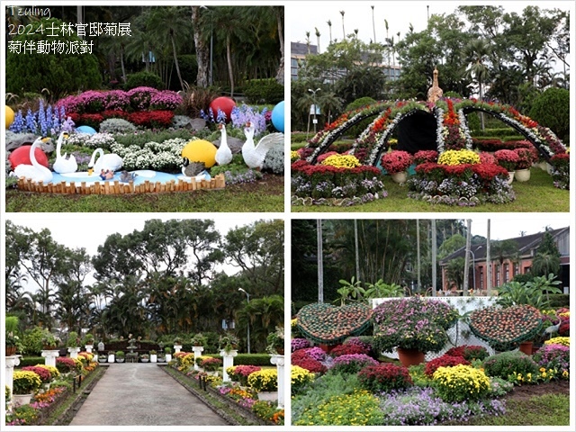 2024士林官邸菊展、菊伴動物派對,首次開放夜間賞花到晚上9 2024士林官邸菊展、菊伴動物派對,首次開放夜間賞花到晚上9