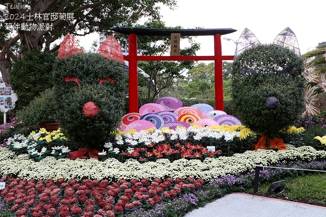 2024士林官邸菊展、菊伴動物派對,首次開放夜間賞花到晚上9 2024士林官邸菊展、菊伴動物派對,首次開放夜間賞花到晚上9