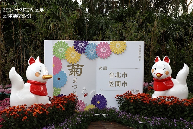 2024士林官邸菊展、菊伴動物派對,首次開放夜間賞花到晚上9 2024士林官邸菊展、菊伴動物派對,首次開放夜間賞花到晚上9