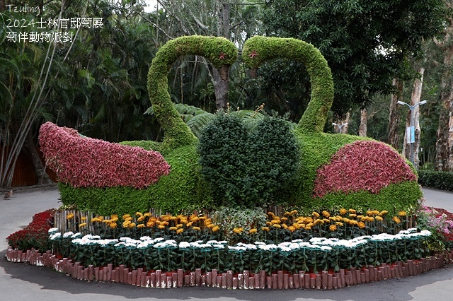 2024士林官邸菊展、菊伴動物派對,首次開放夜間賞花到晚上9 2024士林官邸菊展、菊伴動物派對,首次開放夜間賞花到晚上9