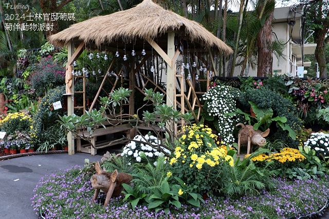 2024士林官邸菊展、菊伴動物派對,首次開放夜間賞花到晚上9 2024士林官邸菊展、菊伴動物派對,首次開放夜間賞花到晚上9
