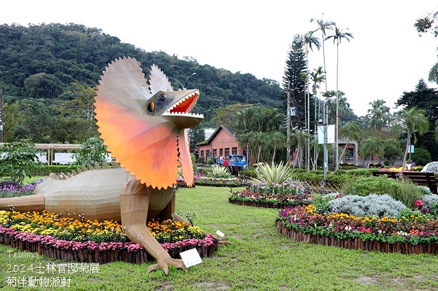 2024士林官邸菊展、菊伴動物派對,首次開放夜間賞花到晚上9 2024士林官邸菊展、菊伴動物派對,首次開放夜間賞花到晚上9