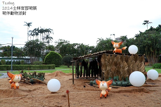 2024士林官邸菊展、菊伴動物派對,首次開放夜間賞花到晚上9 2024士林官邸菊展、菊伴動物派對,首次開放夜間賞花到晚上9