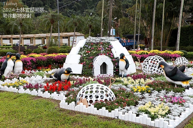 2024士林官邸菊展、菊伴動物派對,首次開放夜間賞花到晚上9 2024士林官邸菊展、菊伴動物派對,首次開放夜間賞花到晚上9