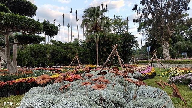 2024士林官邸菊展、菊伴動物派對,首次開放夜間賞花到晚上9 2024士林官邸菊展、菊伴動物派對,首次開放夜間賞花到晚上9