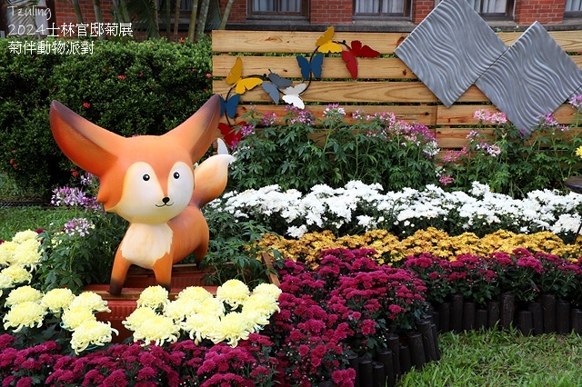 2024士林官邸菊展、菊伴動物派對,首次開放夜間賞花到晚上9 2024士林官邸菊展、菊伴動物派對,首次開放夜間賞花到晚上9