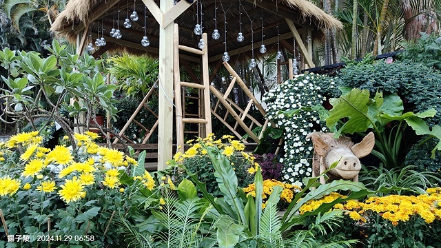 2024士林官邸菊展、菊伴動物派對,首次開放夜間賞花到晚上9 2024士林官邸菊展、菊伴動物派對,首次開放夜間賞花到晚上9