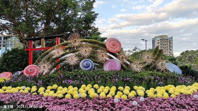 2024士林官邸菊展、菊伴動物派對,首次開放夜間賞花到晚上9 2024士林官邸菊展、菊伴動物派對,首次開放夜間賞花到晚上9