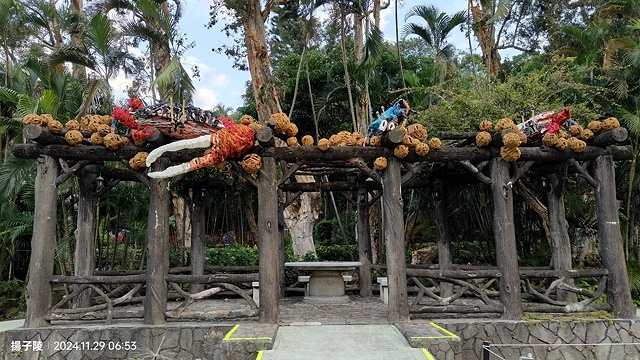 2024士林官邸菊展、菊伴動物派對,首次開放夜間賞花到晚上9 2024士林官邸菊展、菊伴動物派對,首次開放夜間賞花到晚上9