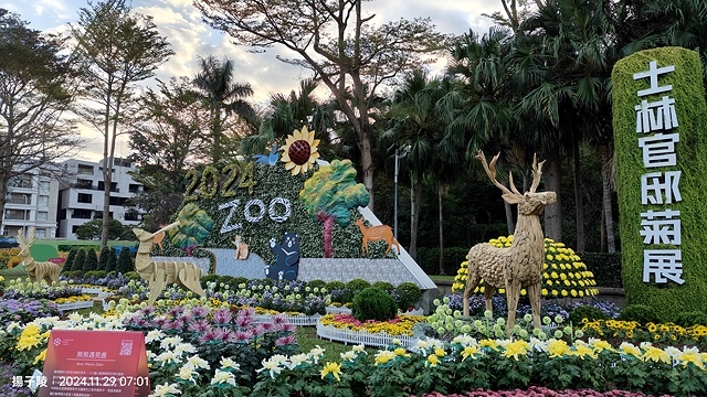 2024士林官邸菊展、菊伴動物派對,首次開放夜間賞花到晚上9 2024士林官邸菊展、菊伴動物派對,首次開放夜間賞花到晚上9