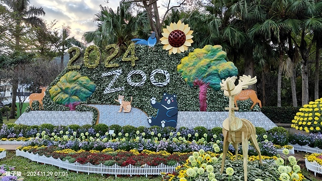 2024士林官邸菊展、菊伴動物派對,首次開放夜間賞花到晚上9 2024士林官邸菊展、菊伴動物派對,首次開放夜間賞花到晚上9