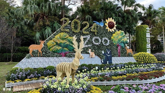 2024士林官邸菊展、菊伴動物派對,首次開放夜間賞花到晚上9 2024士林官邸菊展、菊伴動物派對,首次開放夜間賞花到晚上9