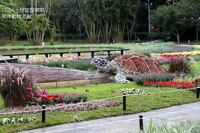 2024士林官邸菊展、菊伴動物派對,首次開放夜間賞花到晚上9 2024士林官邸菊展、菊伴動物派對,首次開放夜間賞花到晚上9