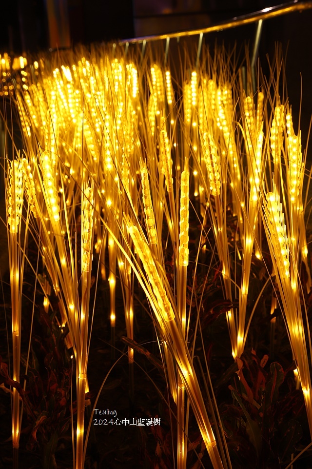 2024閃耀捷運光聚落-心拾光｜2024心中山聖誕樹，活動日