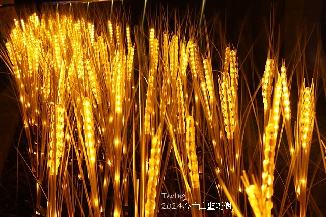 2024閃耀捷運光聚落-心拾光｜2024心中山聖誕樹，活動日
