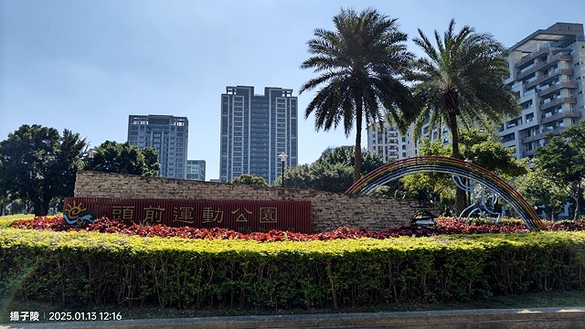 2025新北新莊，頭前運動公園迷你版落羽松美景，1/13即時