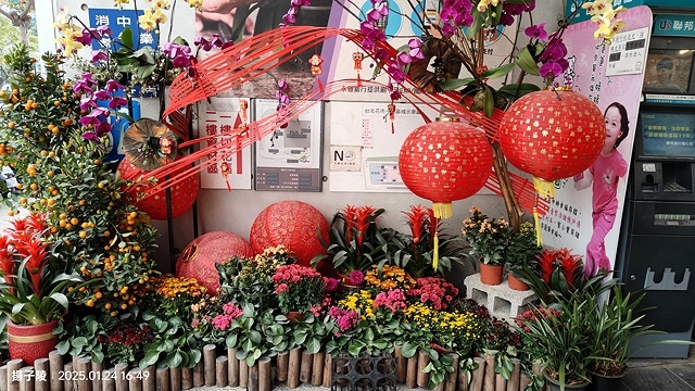 2025台北花市🌸|內湖花市|台北花市花禮想|2025春節營