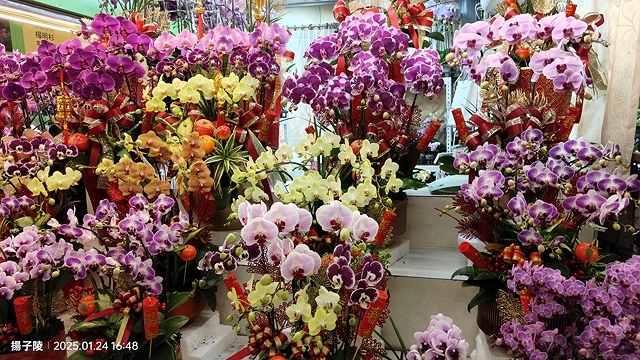 2025台北花市🌸|內湖花市|台北花市花禮想|2025春節營